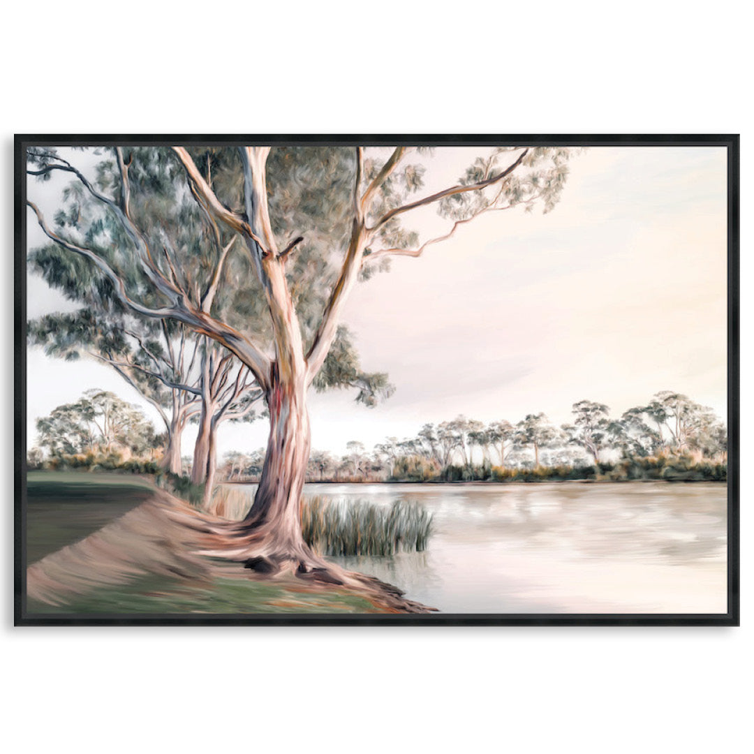 MURRAY RIVER I - Framed Canvas