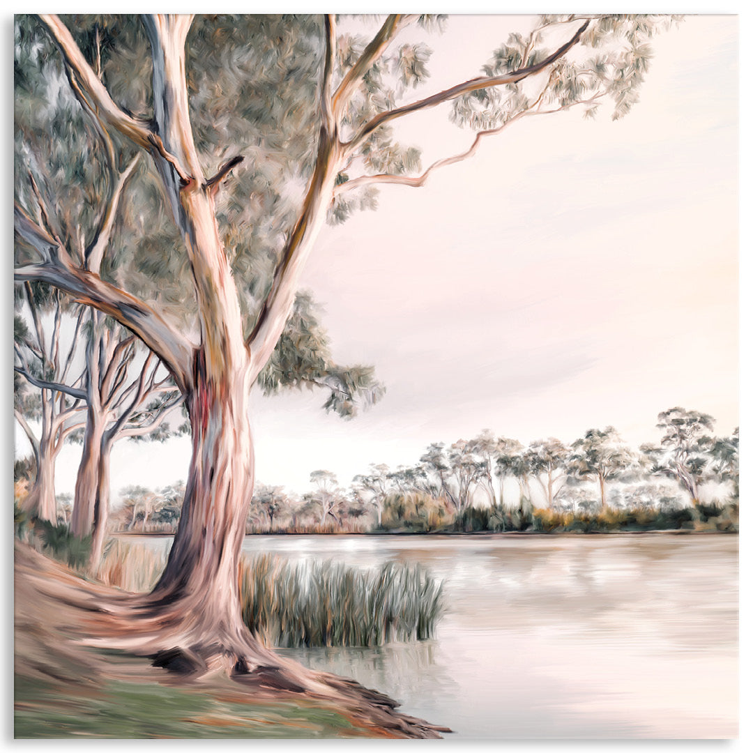 MURRAY RIVER II - Canvas Print