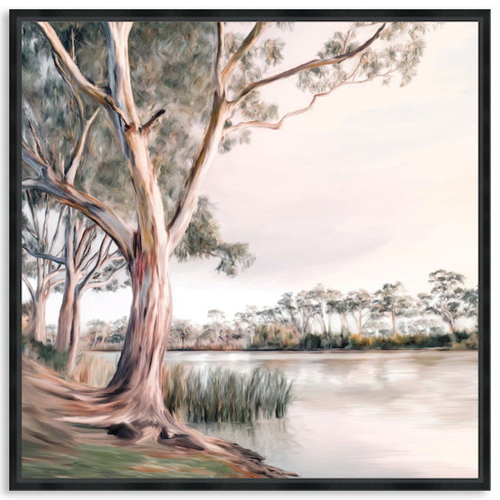 MURRAY RIVER II - Framed Canvas