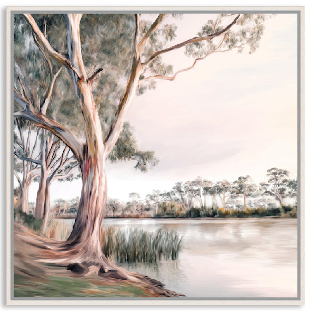 MURRAY RIVER II - Framed Canvas