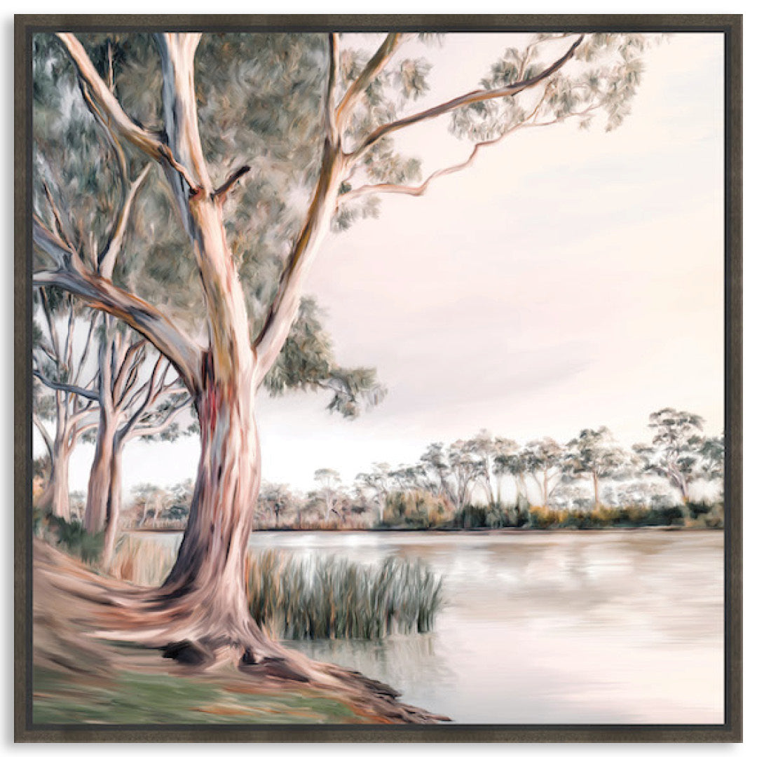 MURRAY RIVER II - Framed Canvas