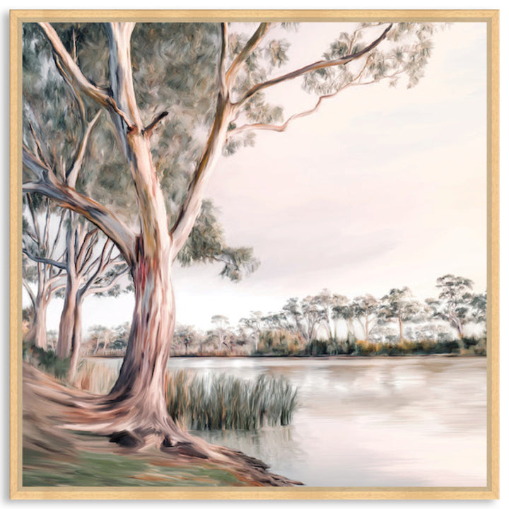 MURRAY RIVER II - Framed Canvas
