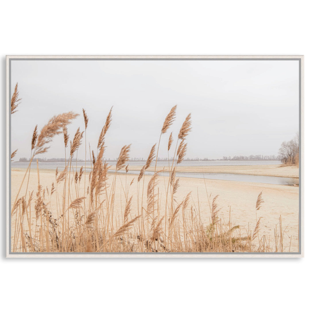PAMPAS GRASS I - Framed Canvas