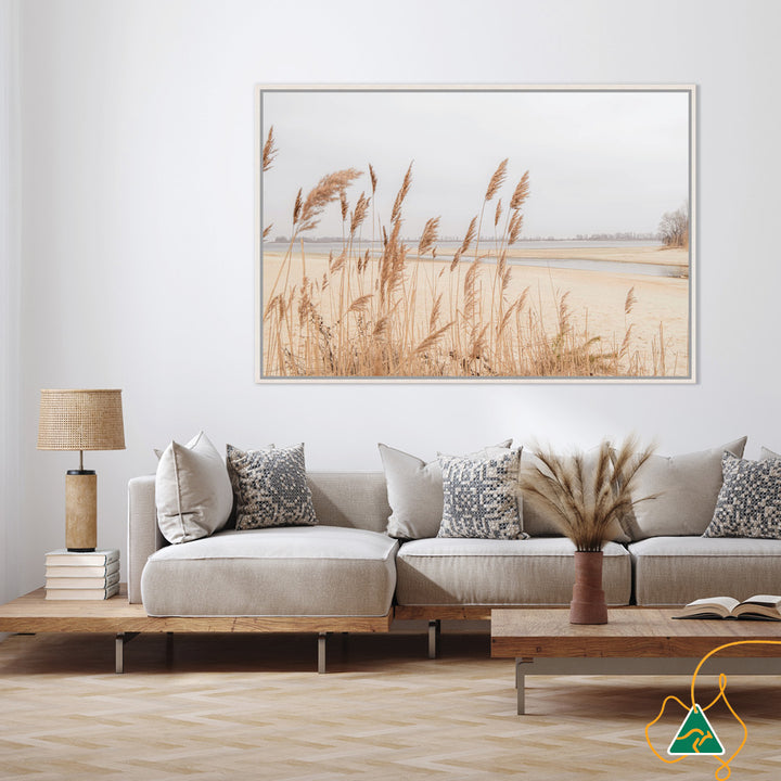 PAMPAS GRASS I - Framed Canvas