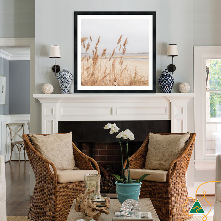 PAMPAS GRASS II - Framed Print