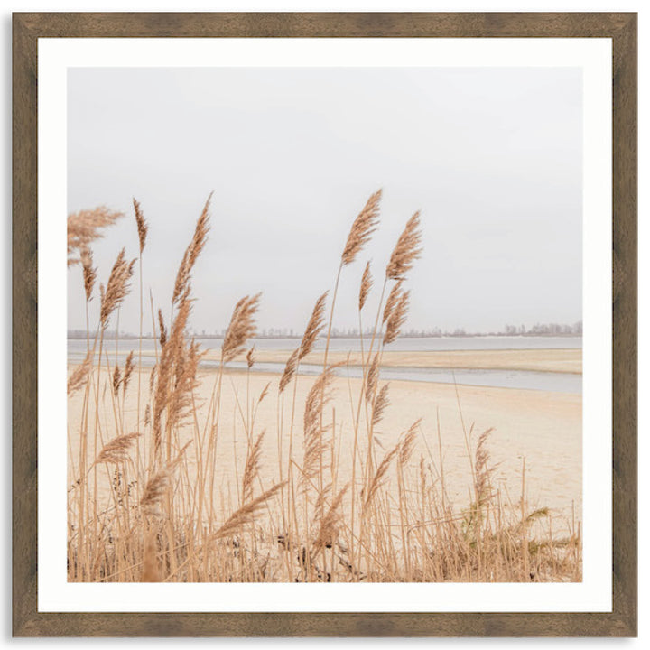 PAMPAS GRASS II - Framed Print