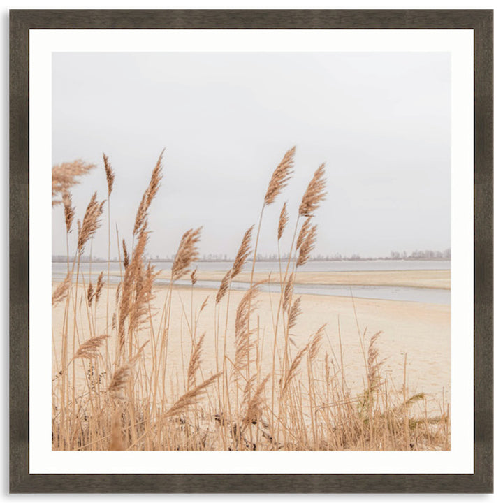 PAMPAS GRASS II - Framed Print