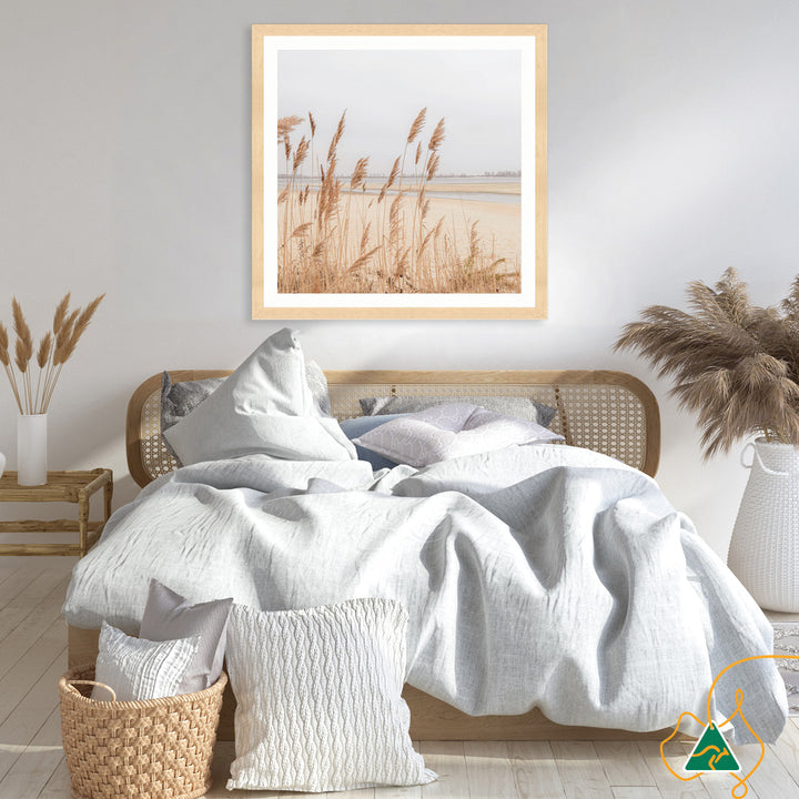 PAMPAS GRASS II - Framed Print