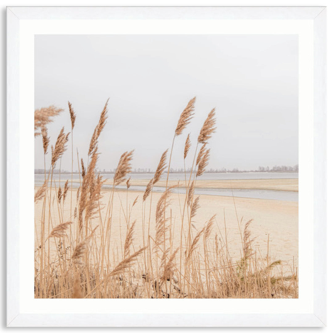 PAMPAS GRASS II - Framed Print