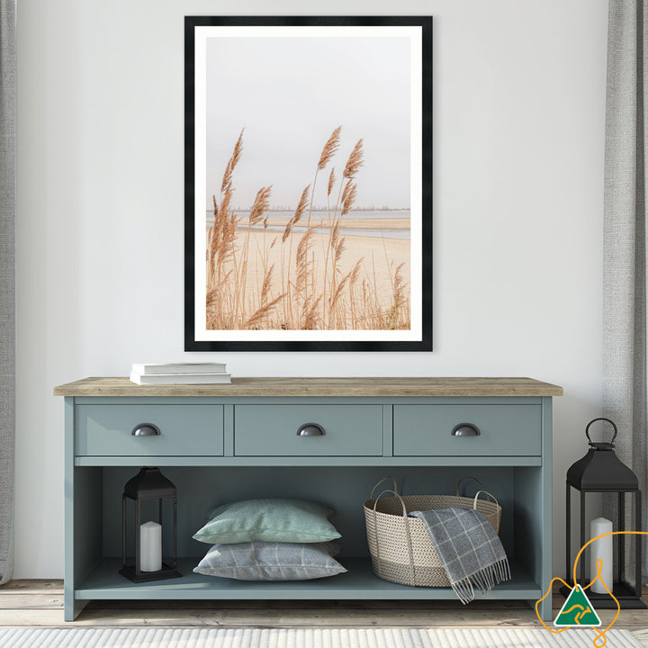 PAMPAS GRASS IV - Framed Print