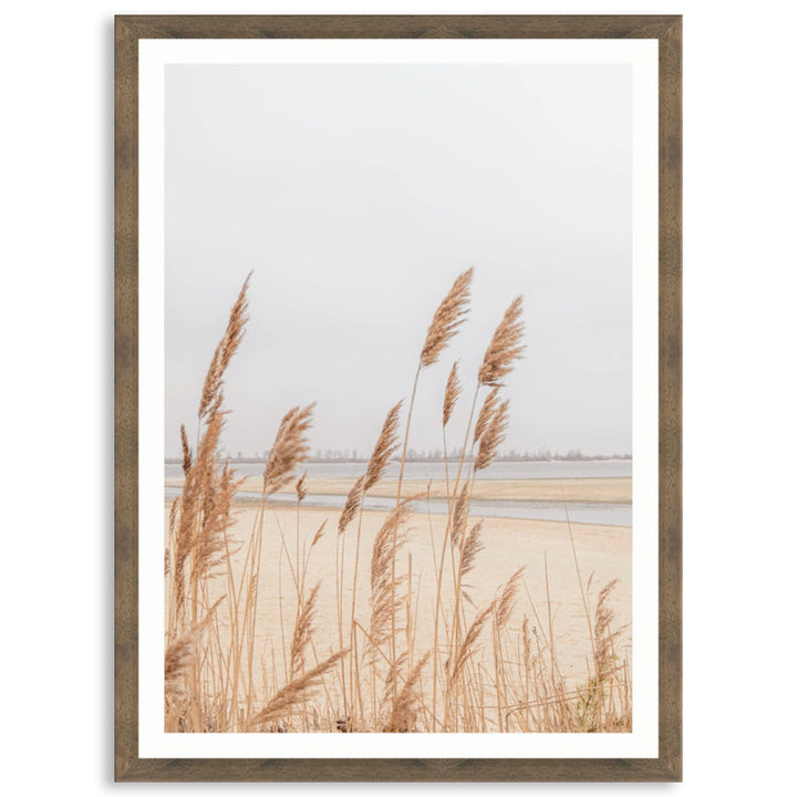 PAMPAS GRASS IV - Framed Print
