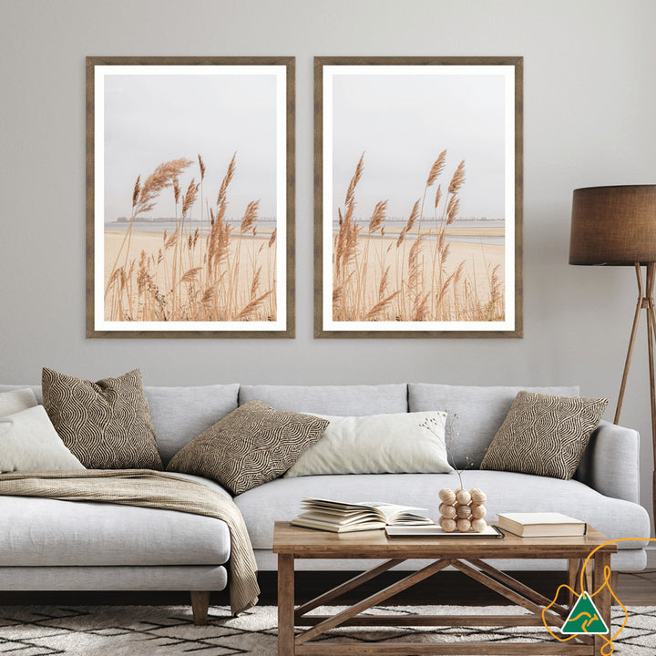 PAMPAS GRASS IV - Framed Print