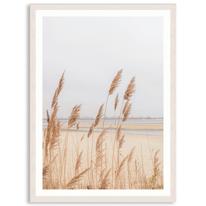 PAMPAS GRASS IV - Framed Print