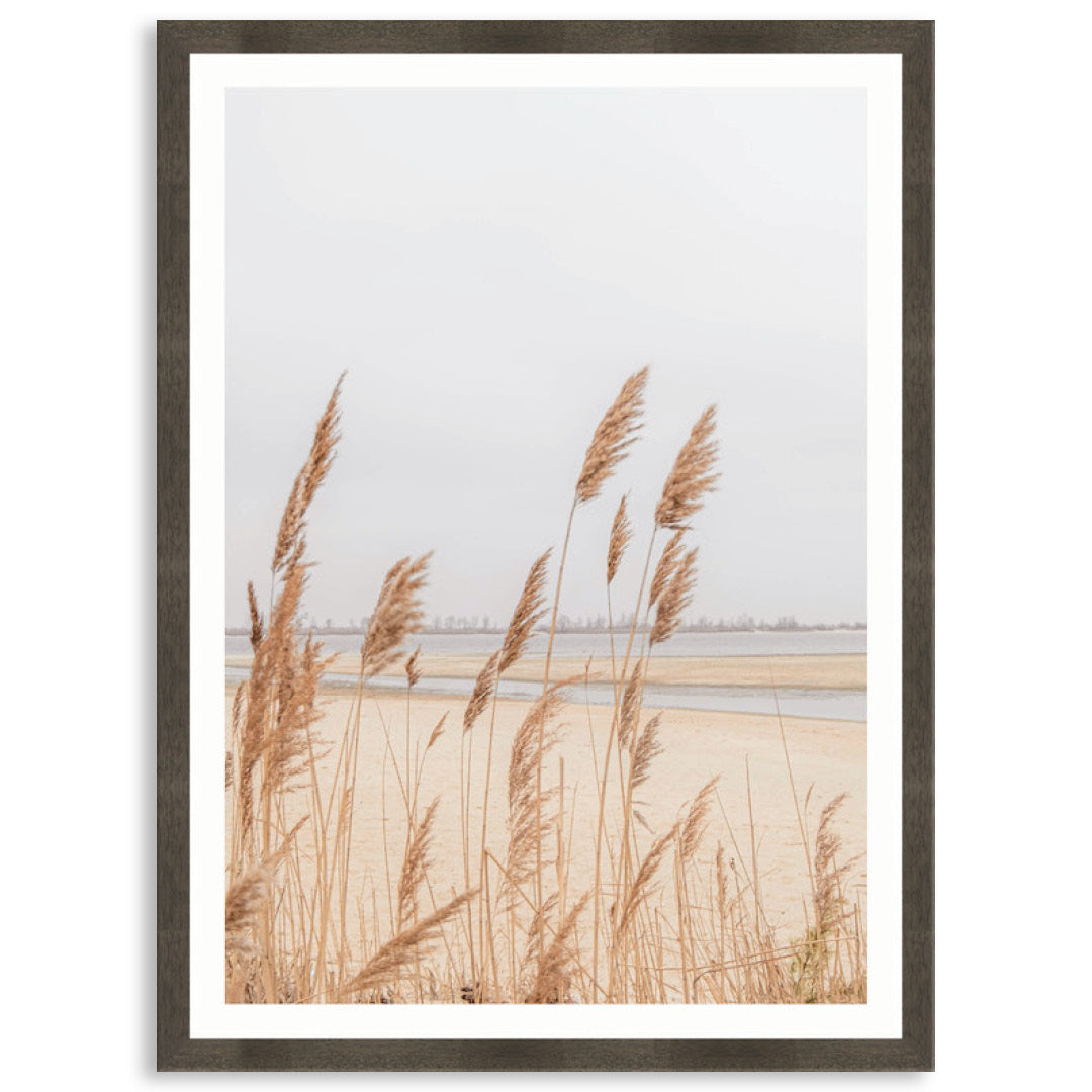PAMPAS GRASS IV - Framed Print