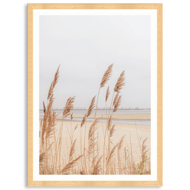 PAMPAS GRASS IV - Framed Print