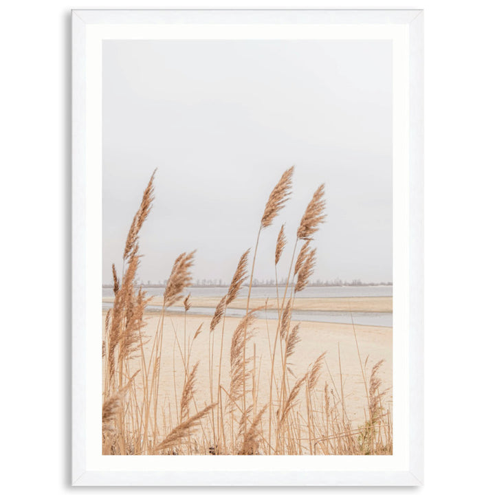 PAMPAS GRASS IV - Framed Print