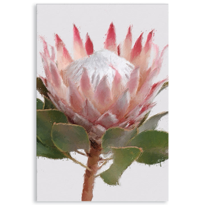 PROTEA PORTRAIT - Canvas Print