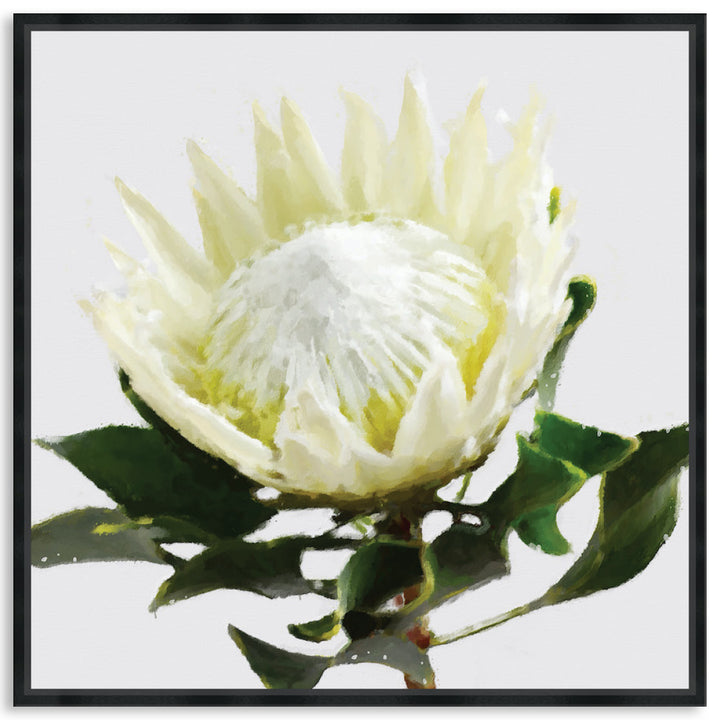 PROTEA WHITE - Framed Canvas