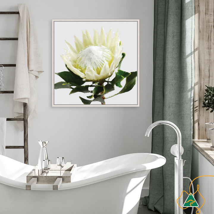 PROTEA WHITE - Framed Canvas