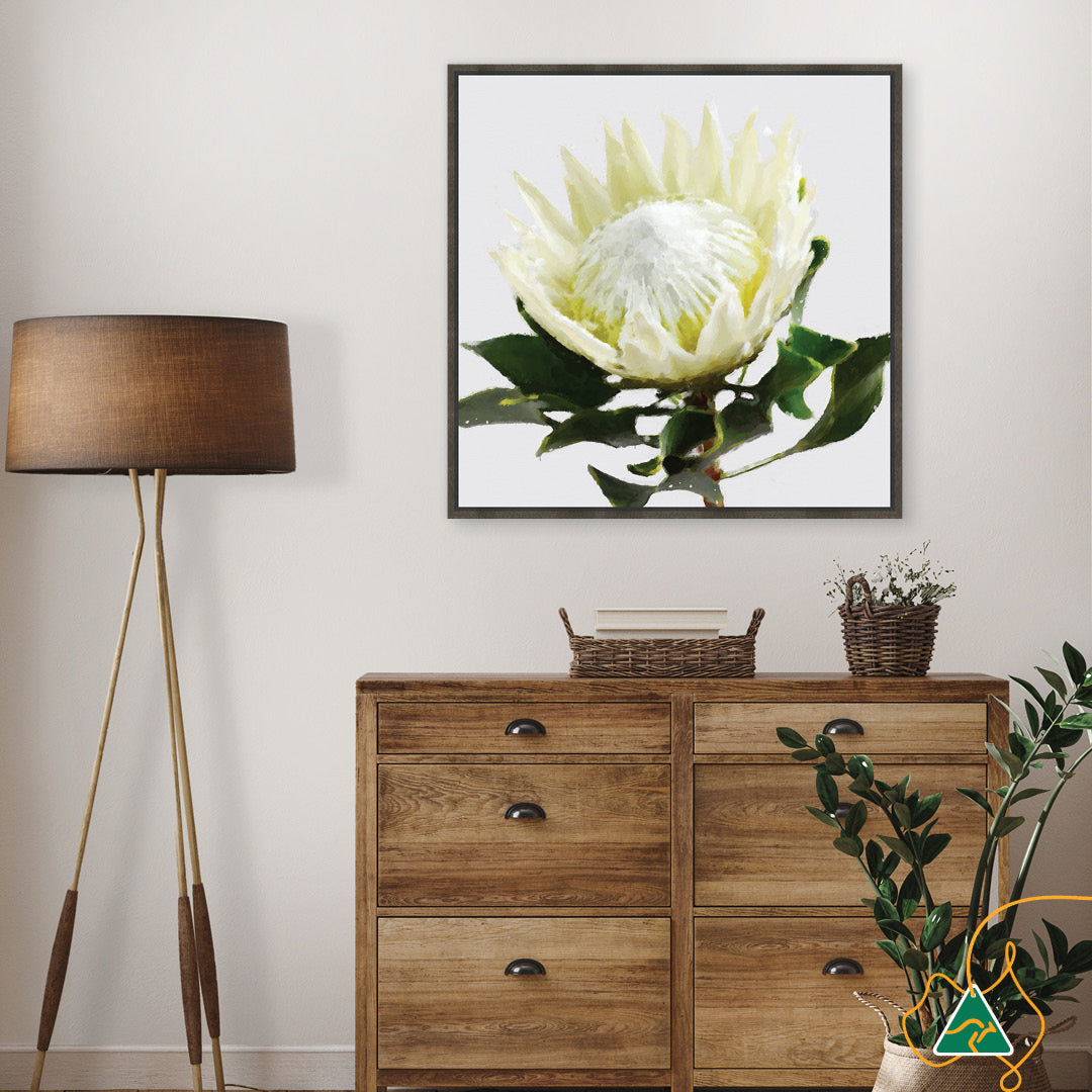 PROTEA WHITE - Framed Canvas