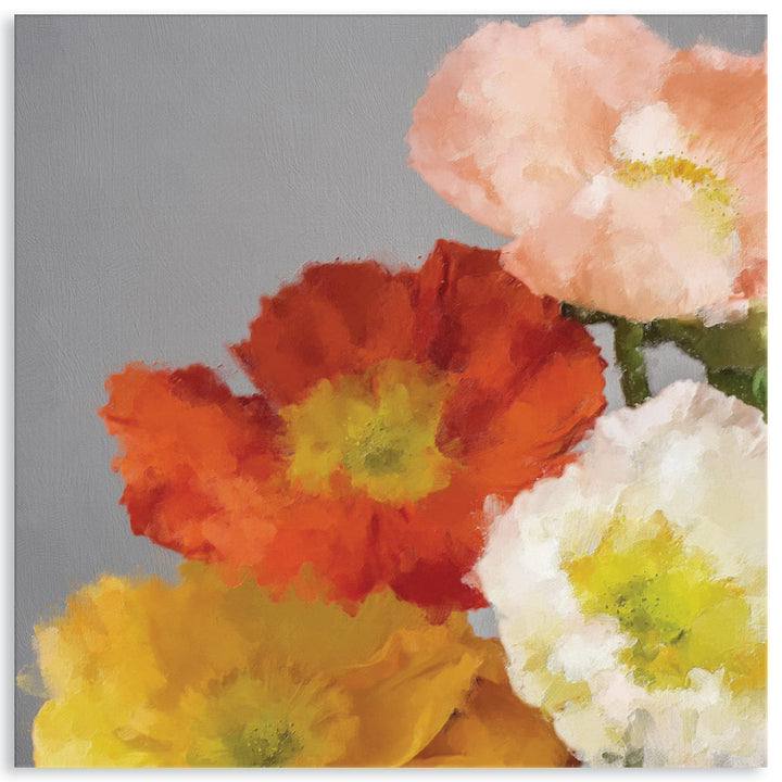 TUSCAN POPPIES III - Canvas Print