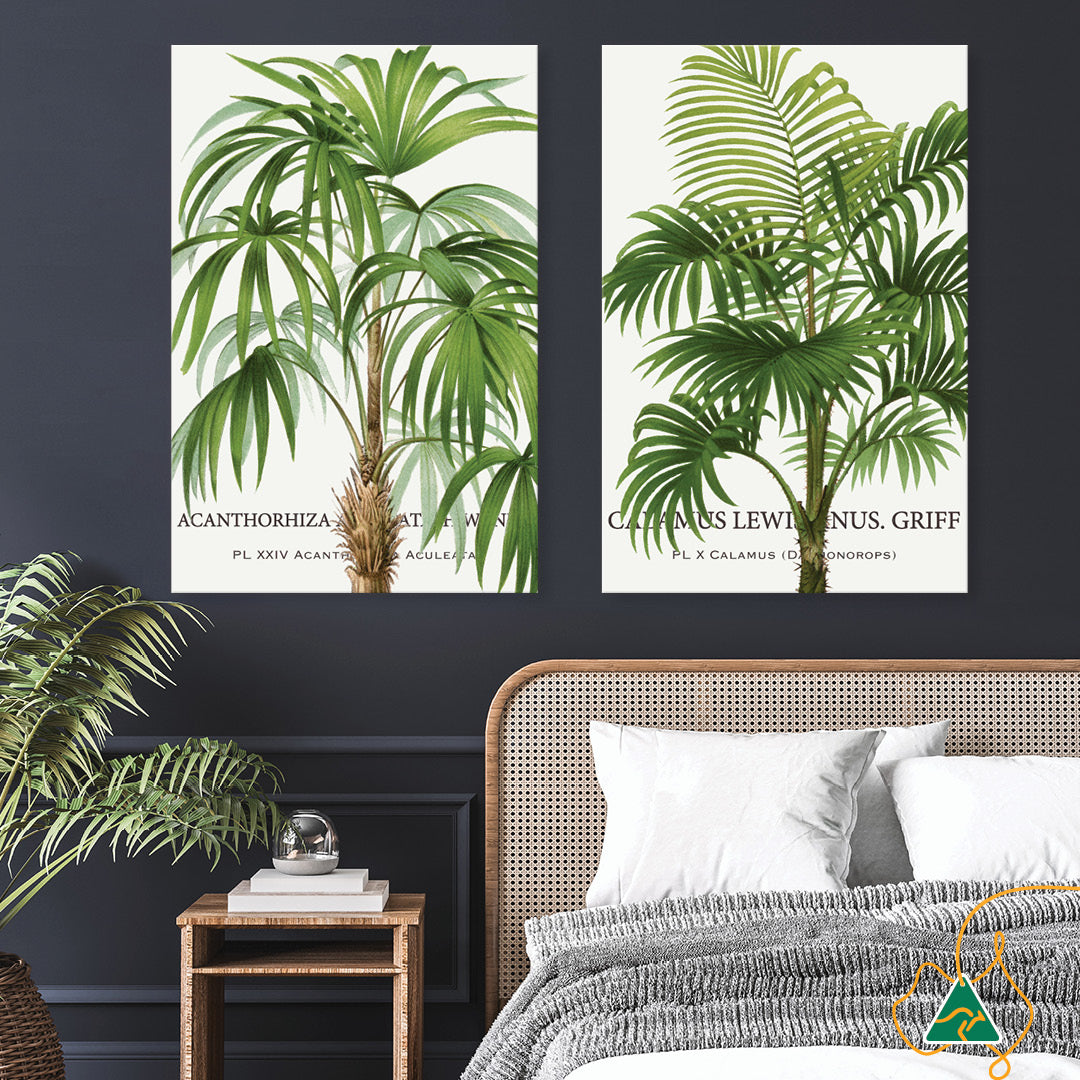 PALM COLLECTION I - Canvas Print