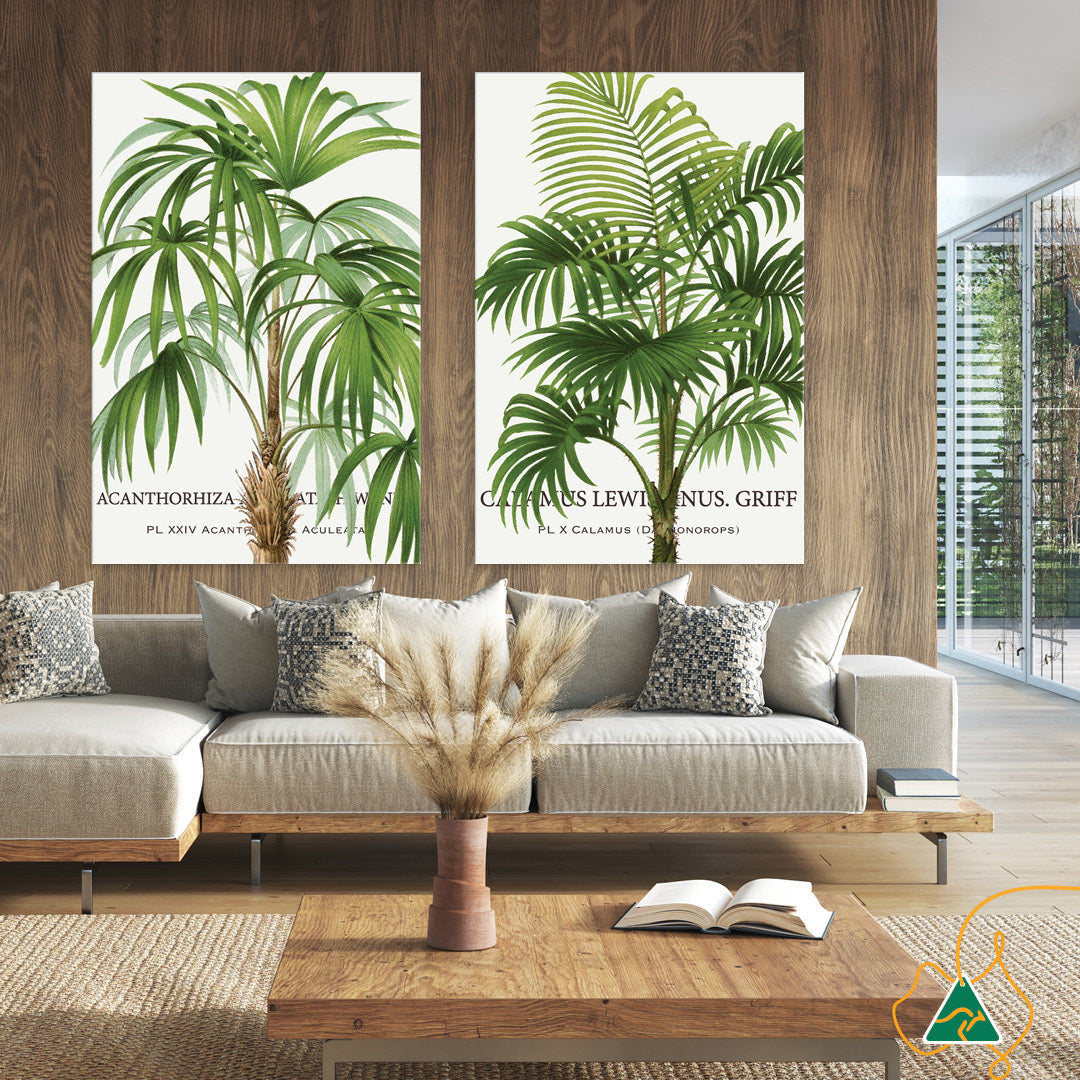 PALM COLLECTION I - Canvas Print