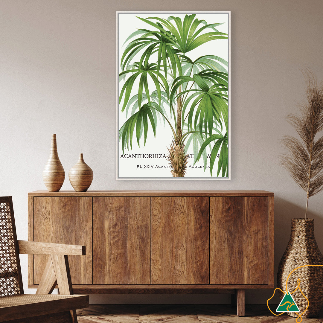 PALM COLLECTION I - Framed Canvas