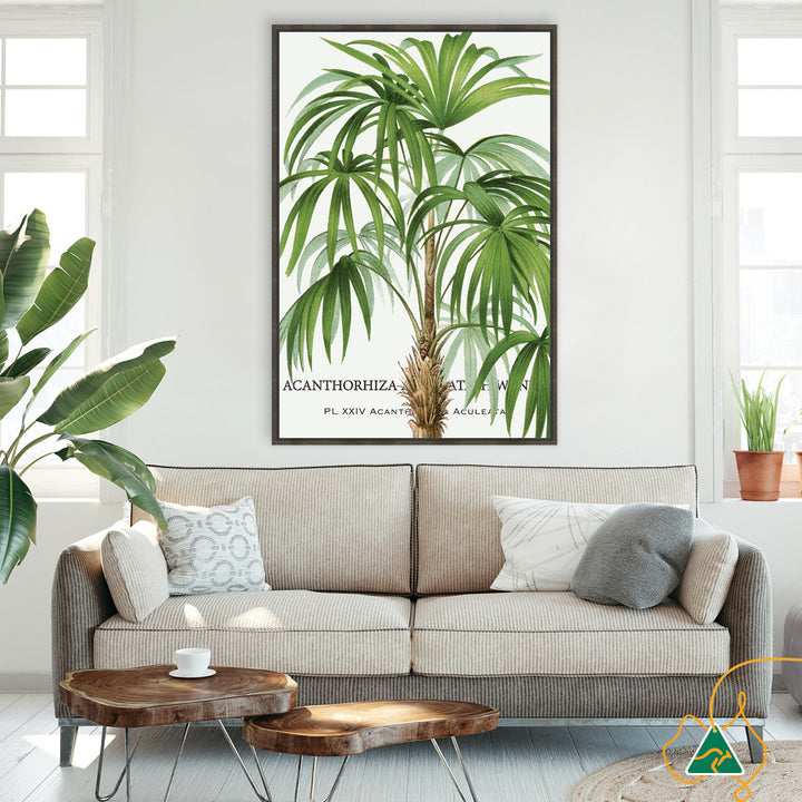 PALM COLLECTION I - Framed Canvas