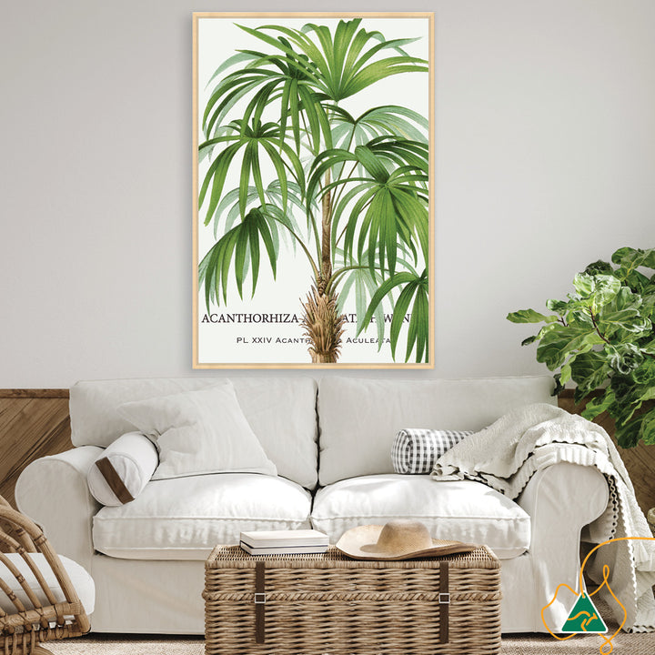 PALM COLLECTION I - Framed Canvas