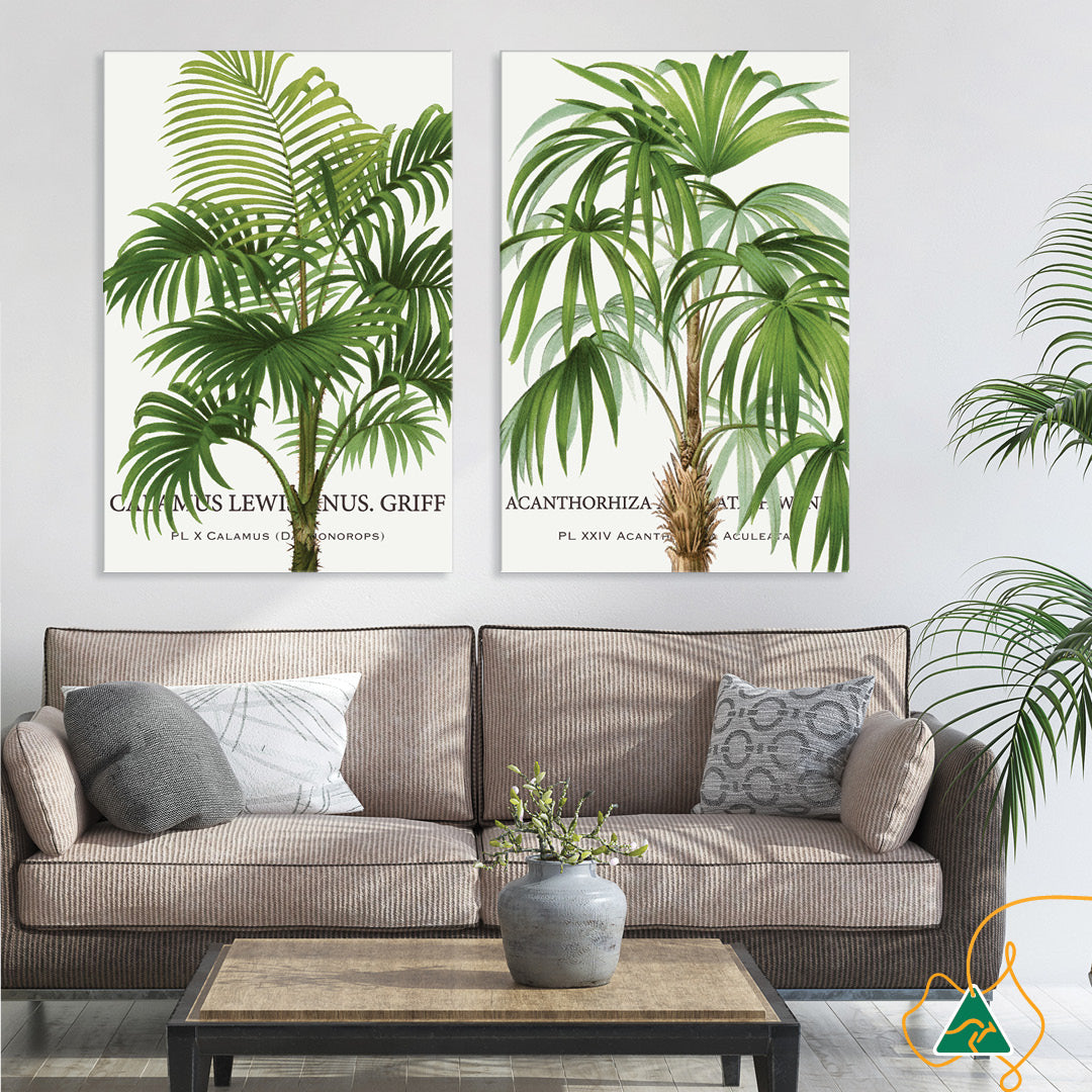 PALM COLLECTION II - Canvas Print