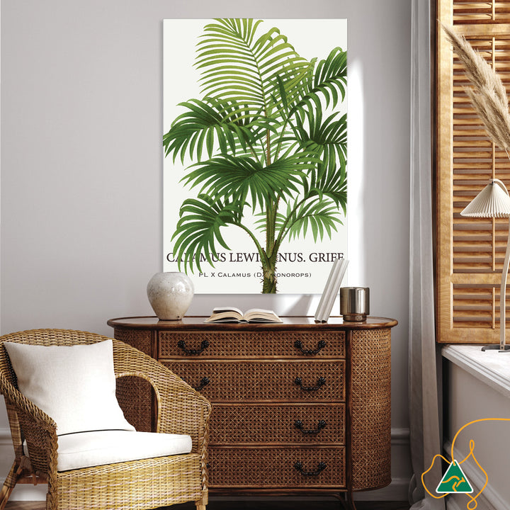 PALM COLLECTION II - Canvas Print