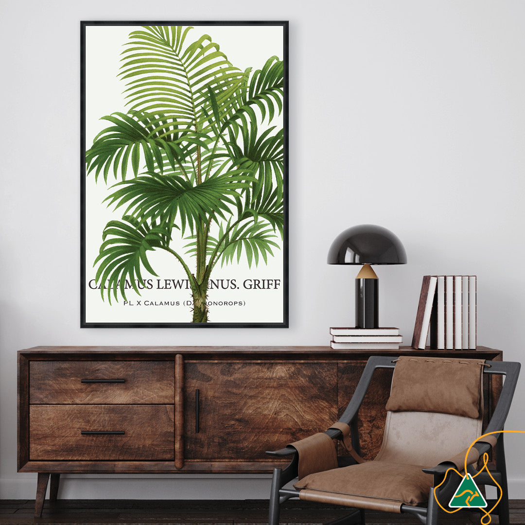 PALM COLLECTION II - Framed Canvas