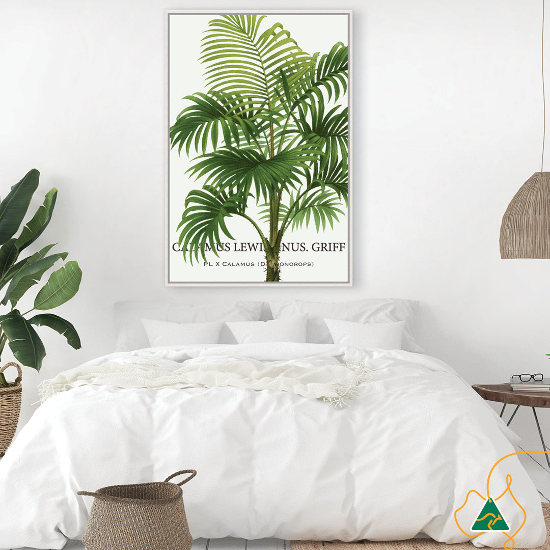 PALM COLLECTION II - Framed Canvas