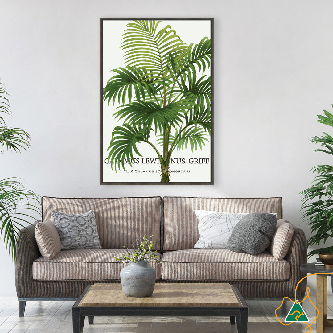 PALM COLLECTION II - Framed Canvas