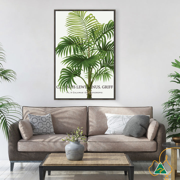 PALM COLLECTION II - Framed Canvas