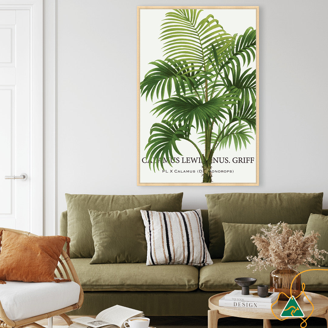 PALM COLLECTION II - Framed Canvas