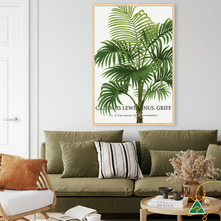 PALM COLLECTION II - Framed Canvas
