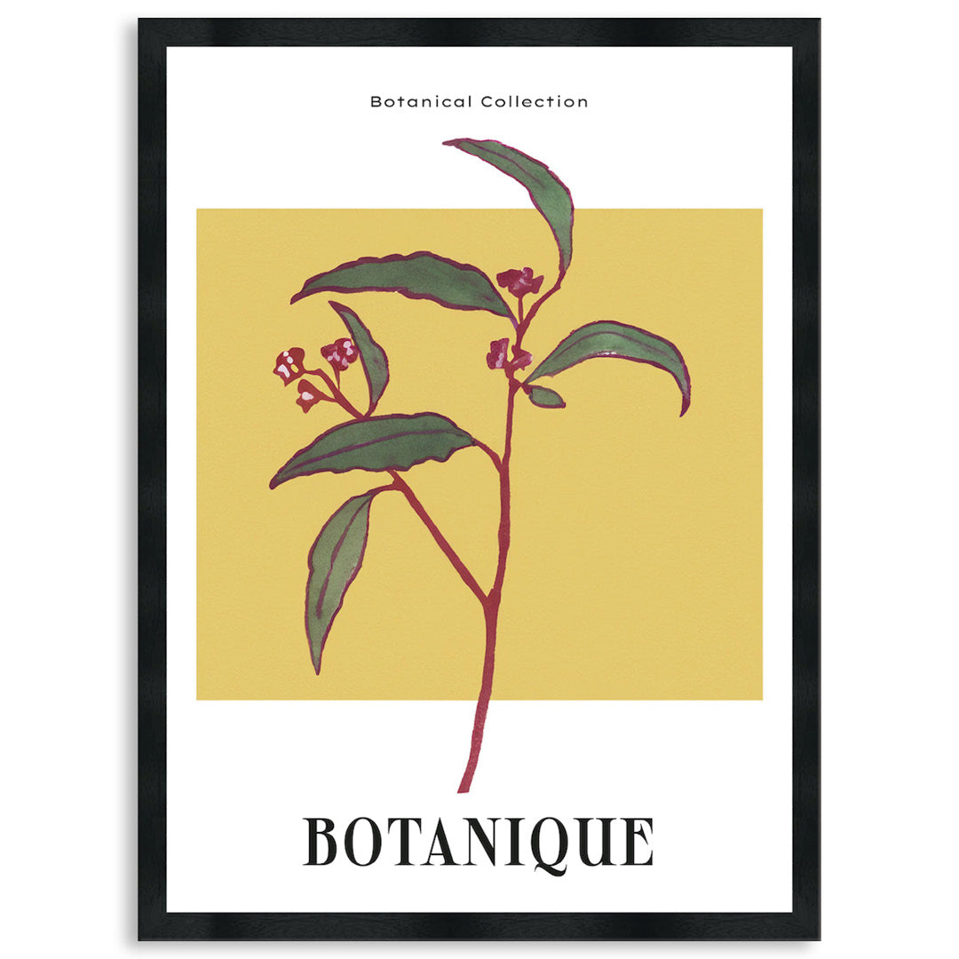 BOTANIQUE I - Framed Print