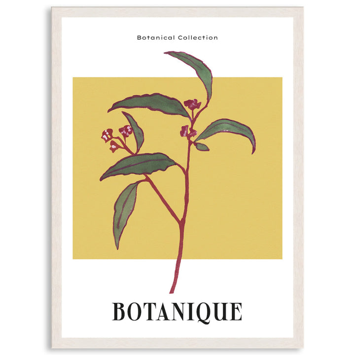 BOTANIQUE I - Framed Print