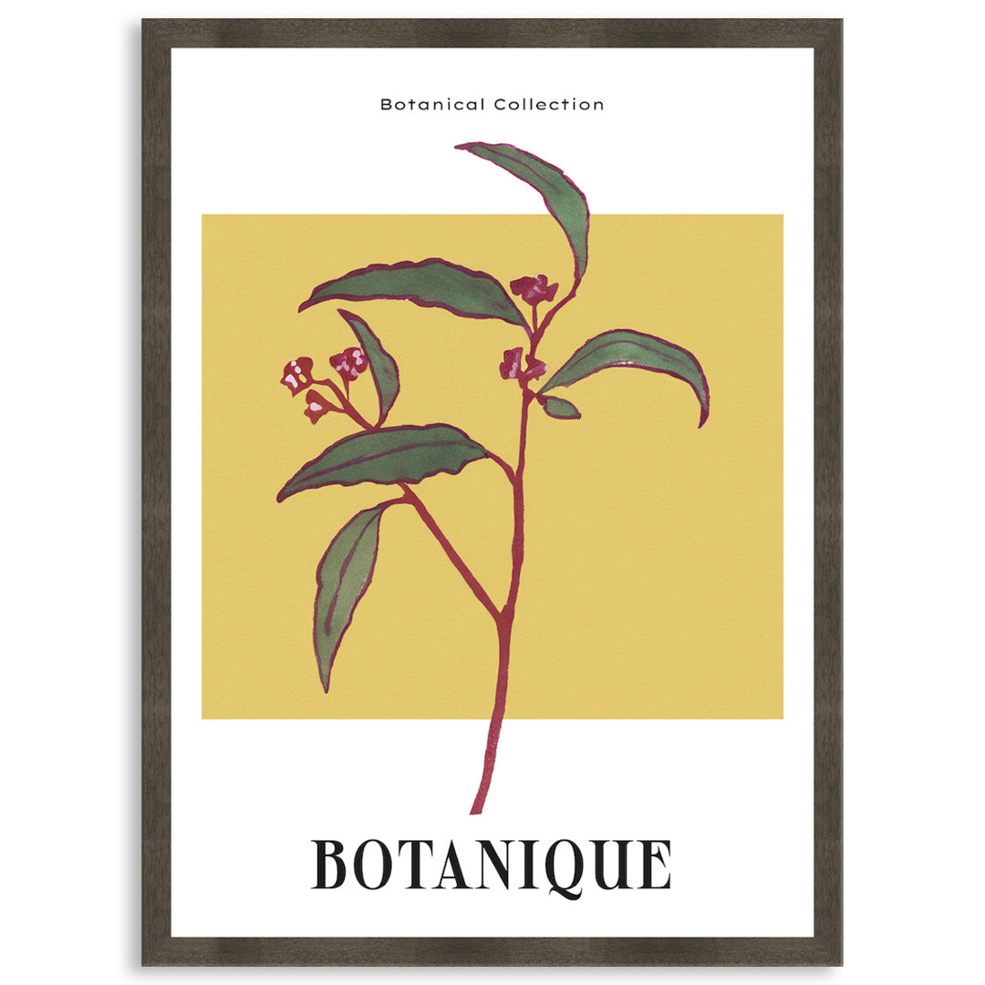 BOTANIQUE I - Framed Print