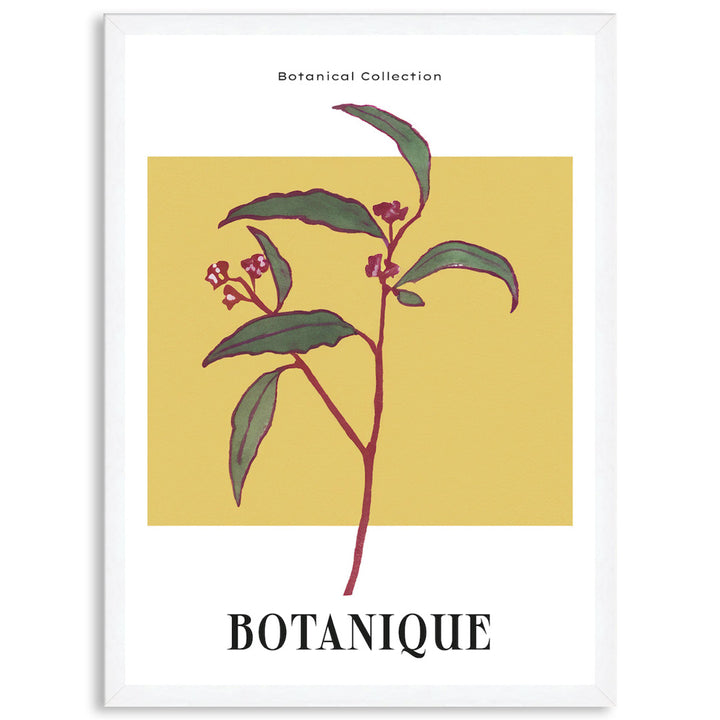 BOTANIQUE I - Framed Print
