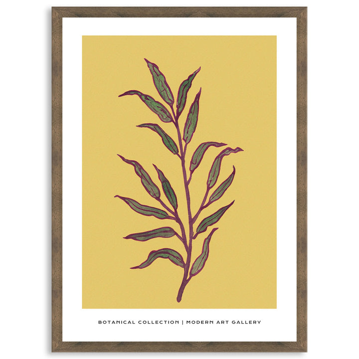BOTANIQUE II - Framed Print