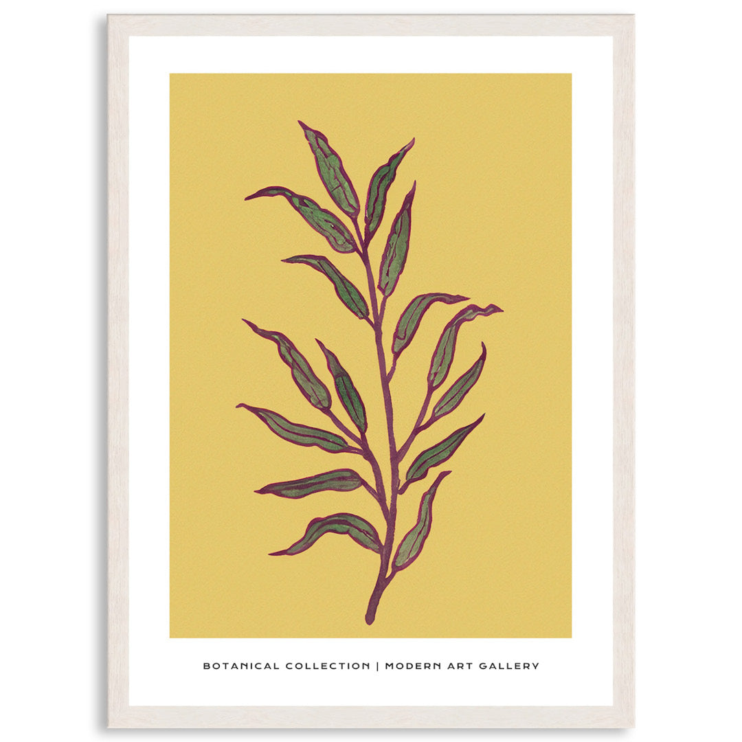 BOTANIQUE II - Framed Print