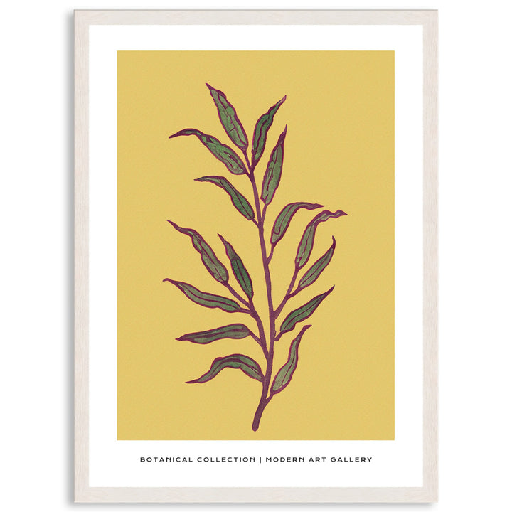 BOTANIQUE II - Framed Print
