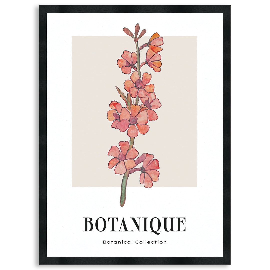 BOTANIQUE III - Framed Print
