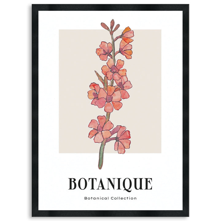 BOTANIQUE III - Framed Print