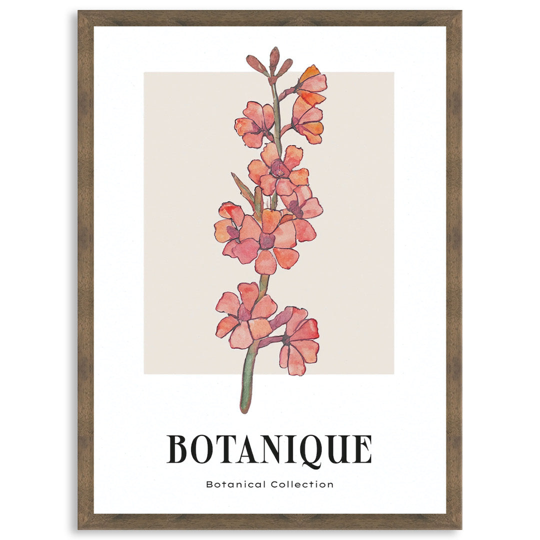 BOTANIQUE III - Framed Print
