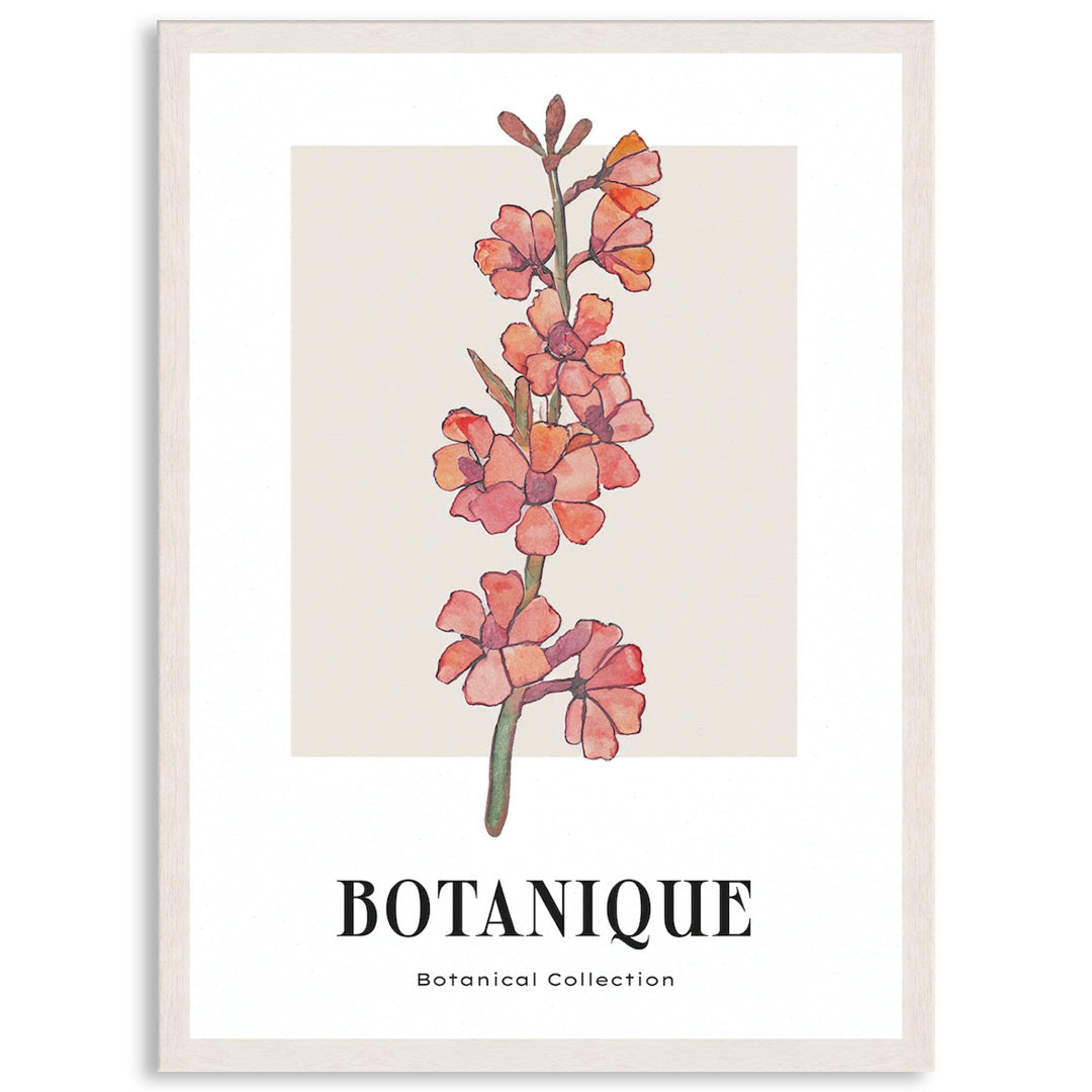BOTANIQUE III - Framed Print