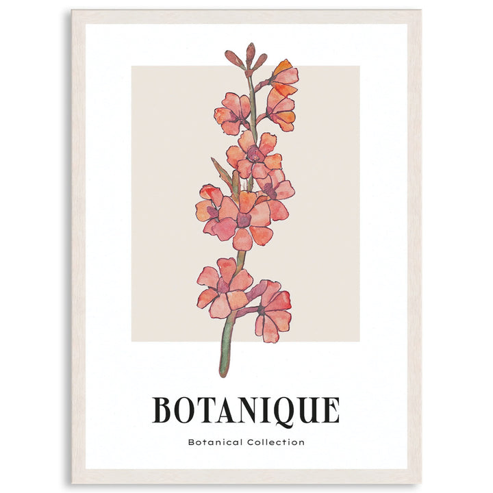 BOTANIQUE III - Framed Print